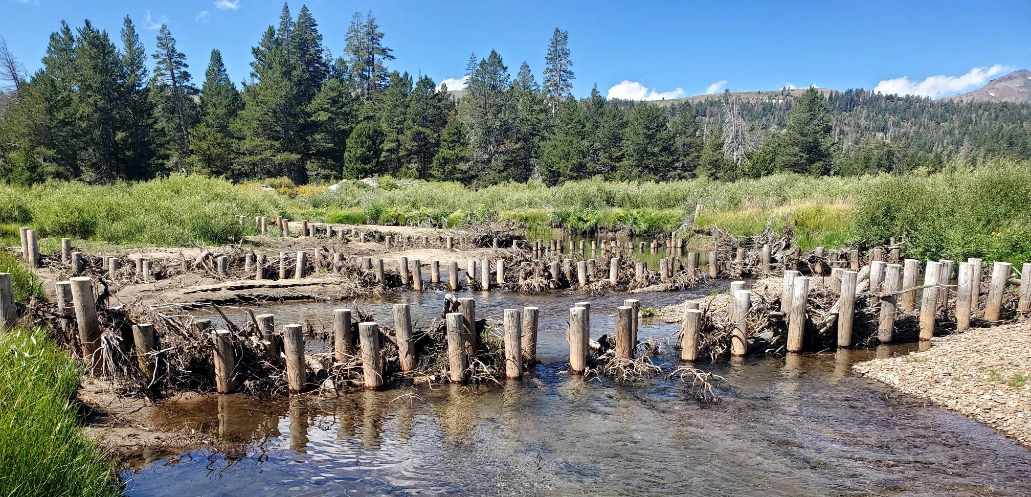 Example of Restoration in Lahontan Region