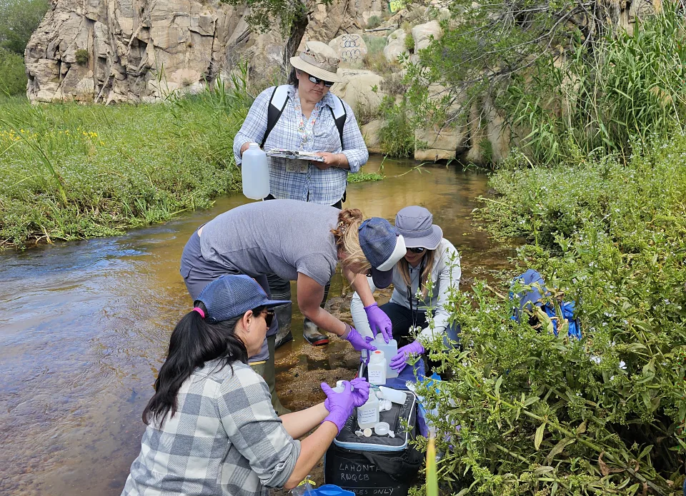 Lahontan Water Board staff taking water quality samples from a stream