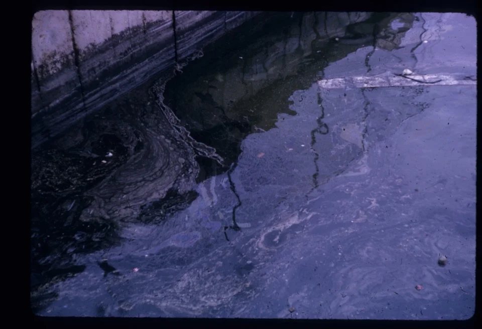 Oil and chemical pollution swirling in San Diego Bay waters