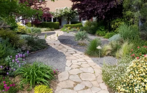 A low-maintenance, water smart garden with manicured flowers and a charming stone path