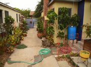 image of yard with rain barrel to collect water