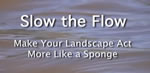 icon showing water flowing with text reading Slow the Flow - Making Your Landscape Act Like a Sponge and provides link to film