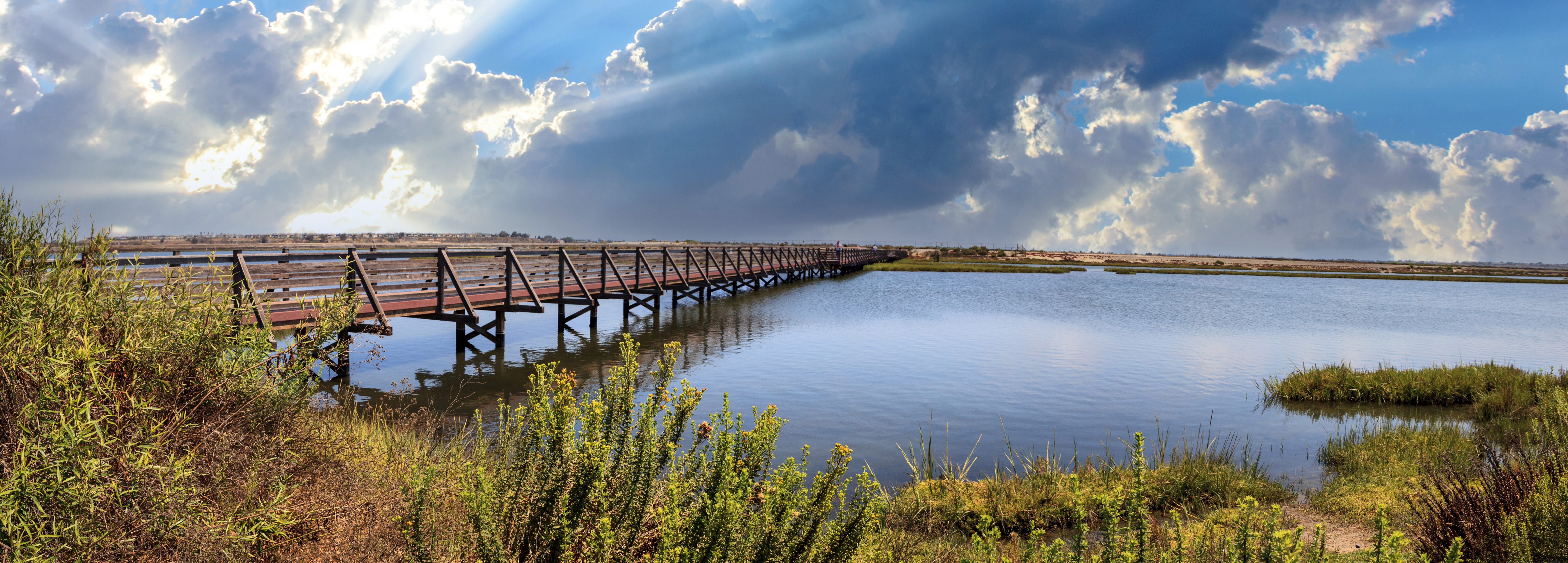 401 Water Quality Certification and Wetlands Program Banner