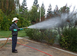 Picture of man spraying pesticides on plants.