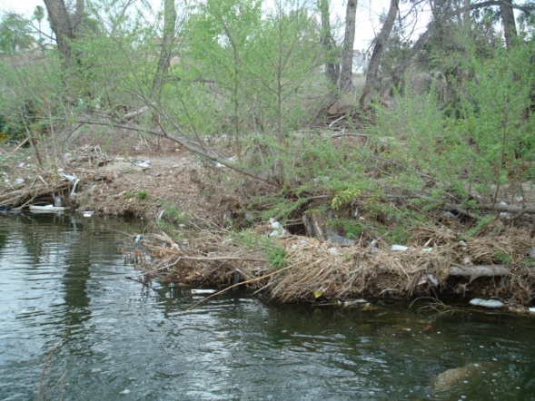 Trash in streams