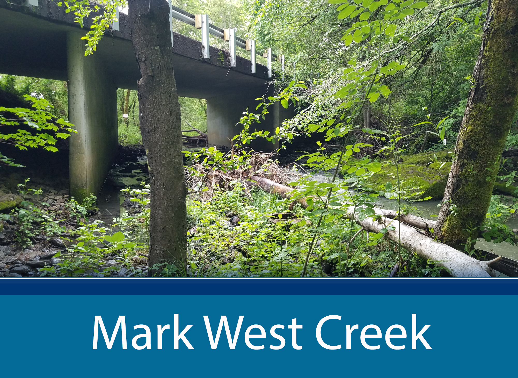 Mark West Creek page