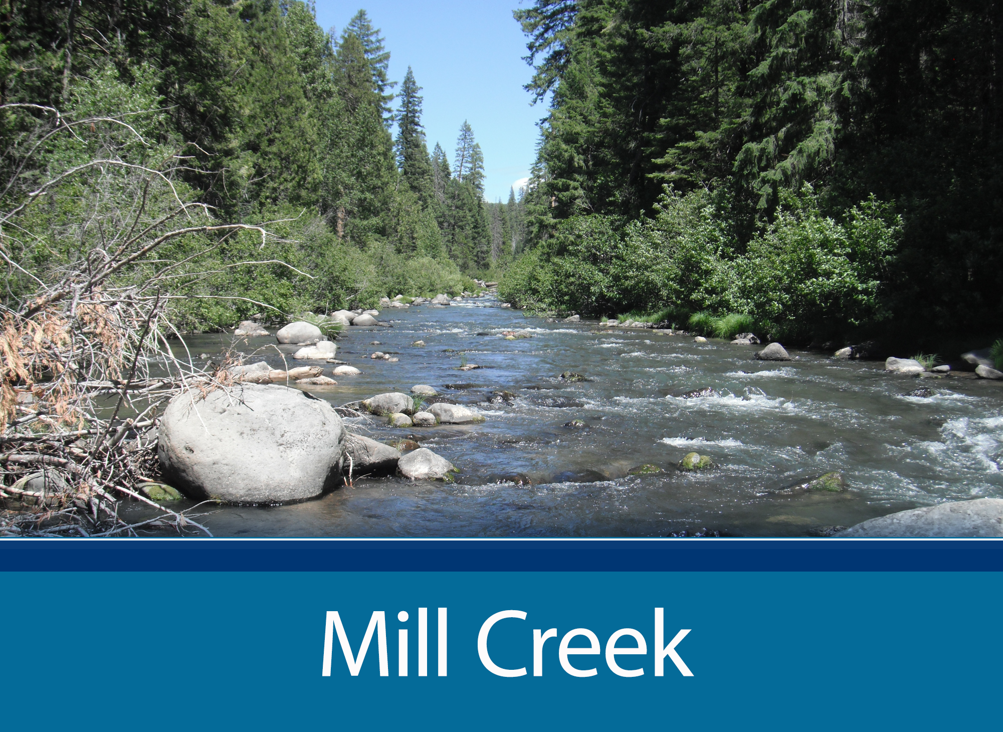 Mill Creek Bay - Delta page